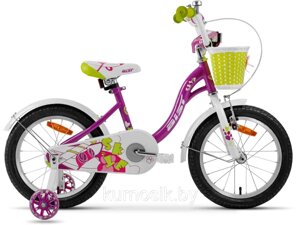 Детский велосипед Aist Skye 16" для девочки от 4 до 6 лет Фиолетовый