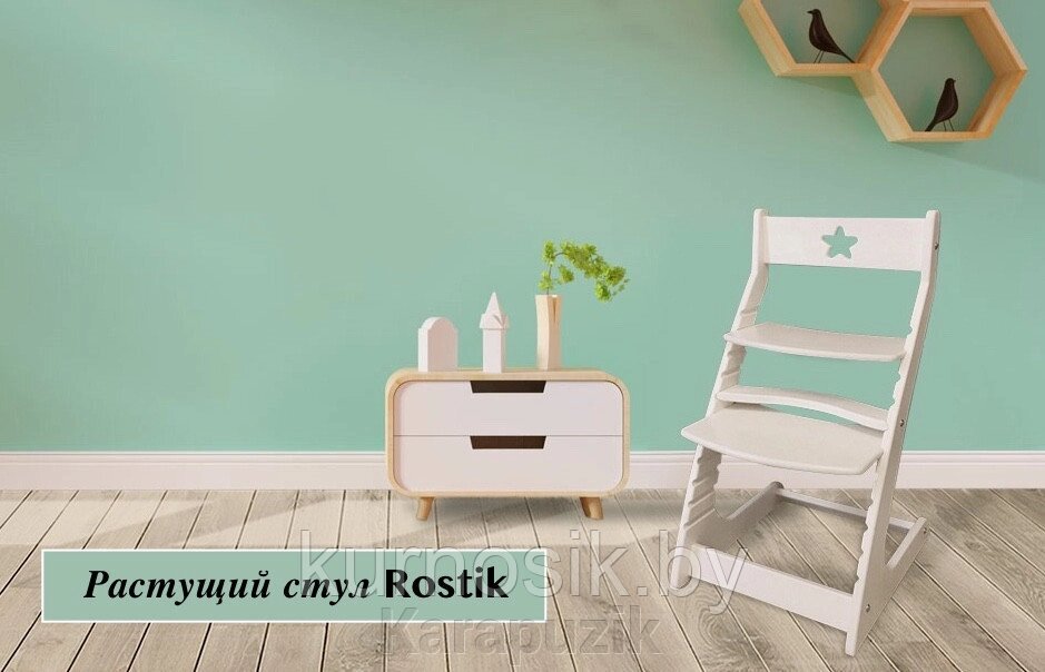Растущий регулируемый школьный стул Ростик Rostik Белый СП1 от компании Karapuzik - фото 1