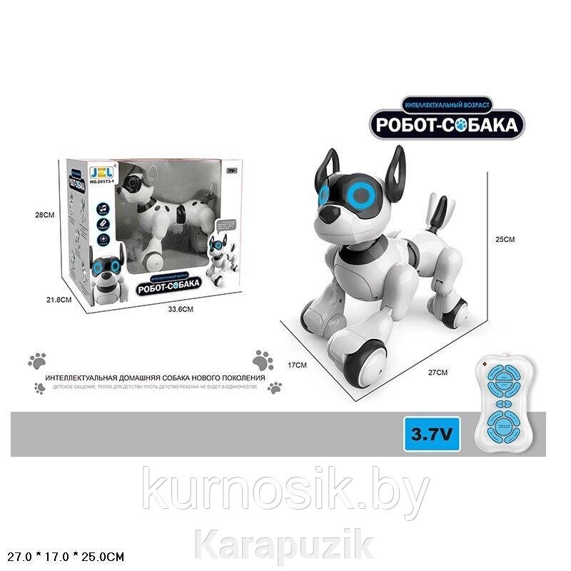 Собака-робот 20173-1 Интерактивная игрушка Собачка на р/у Robot Dog от компании Karapuzik - фото 1