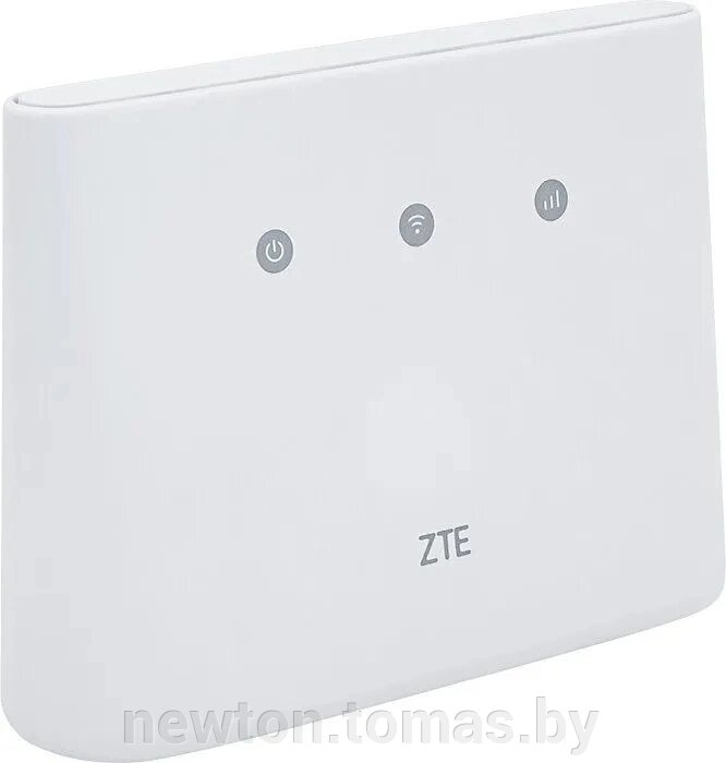 4G Wi-Fi роутер ZTE MF293N белый от компании Интернет-магазин Newton - фото 1