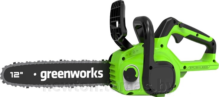 Аккумуляторная пила Greenworks GD24CS30 без АКБ от компании Интернет-магазин Newton - фото 1