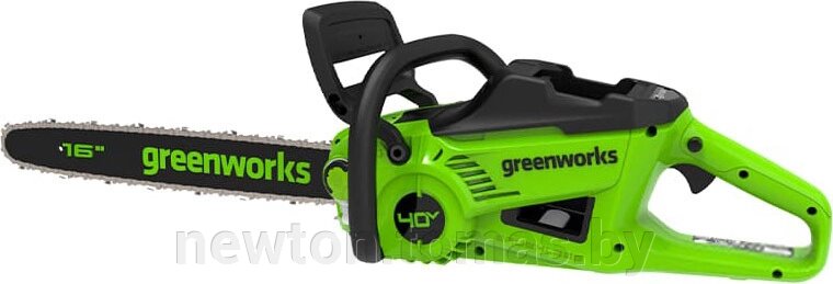 Аккумуляторная пила Greenworks GD40CS20X без АКБ от компании Интернет-магазин Newton - фото 1