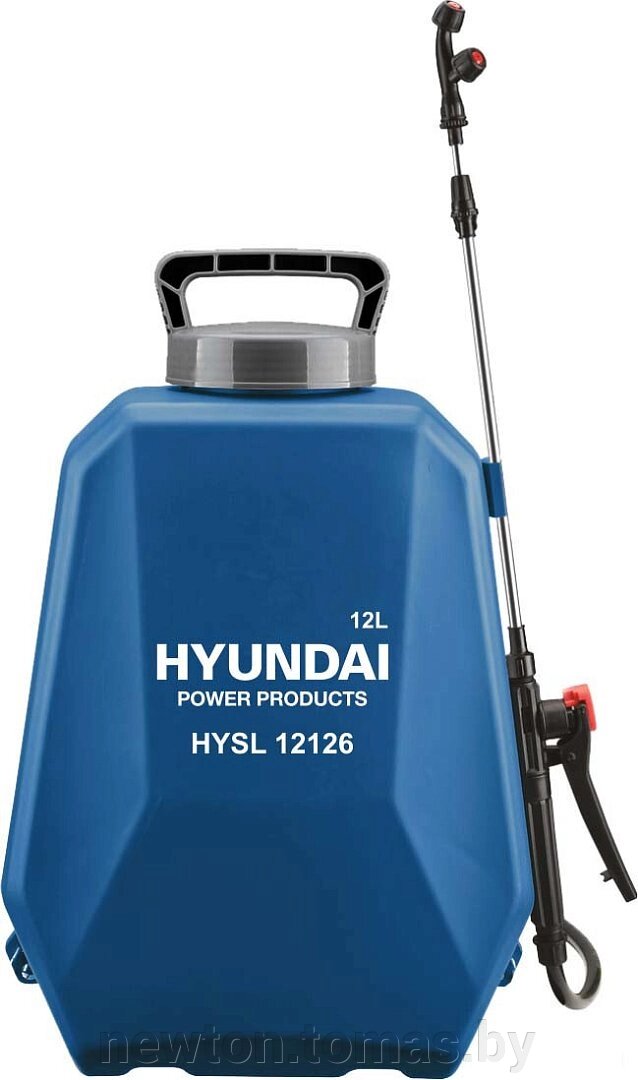 Аккумуляторный опрыскиватель Hyundai HYSL 12126 от компании Интернет-магазин Newton - фото 1