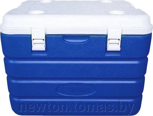 Автохолодильник  Арктика 2000-60 синий от компании Интернет-магазин Newton - фото 1