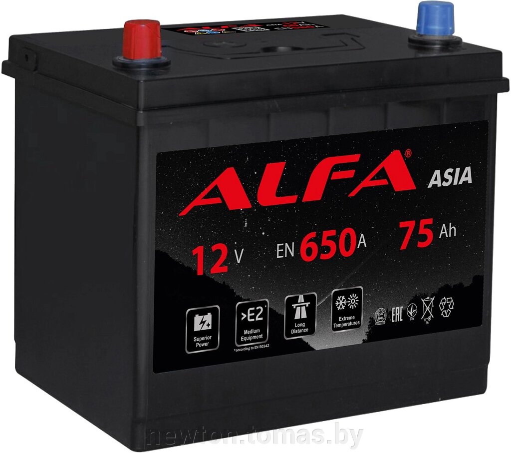 Автомобильный аккумулятор ALFA Asia JL 650A 75 А·ч от компании Интернет-магазин Newton - фото 1