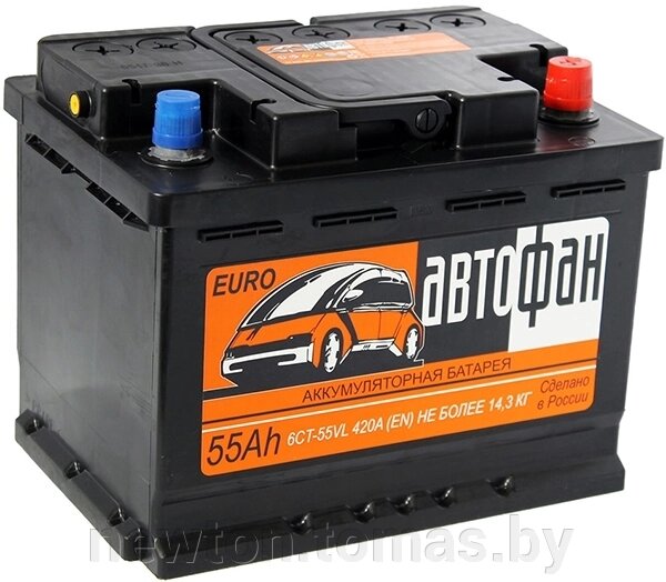 Автомобильный аккумулятор Автофан R 55 А·ч от компании Интернет-магазин Newton - фото 1