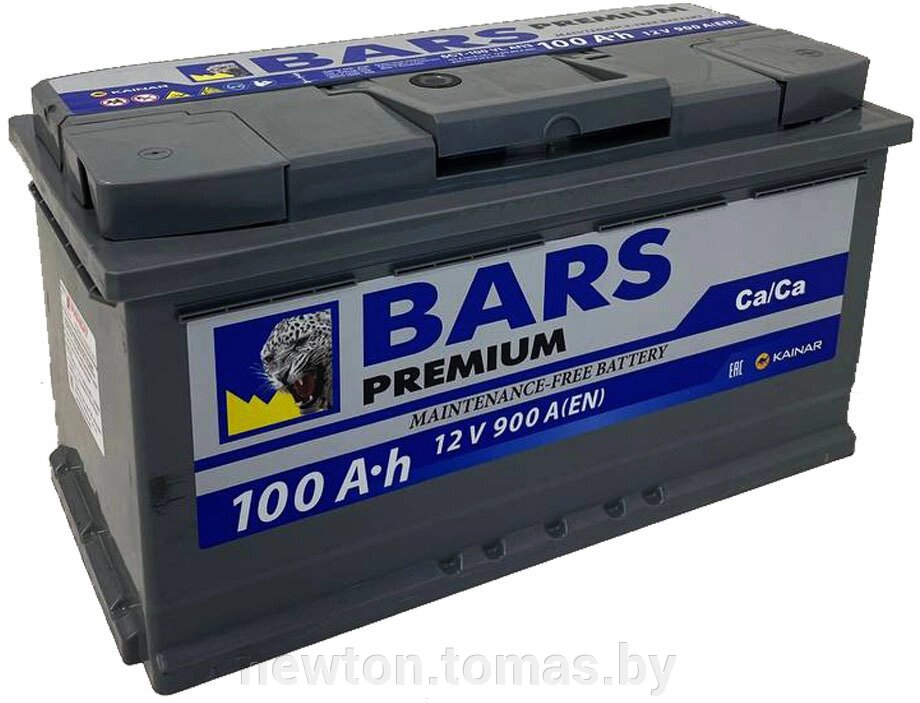 Автомобильный аккумулятор BARS Premium 100 R+ 100 А·ч от компании Интернет-магазин Newton - фото 1