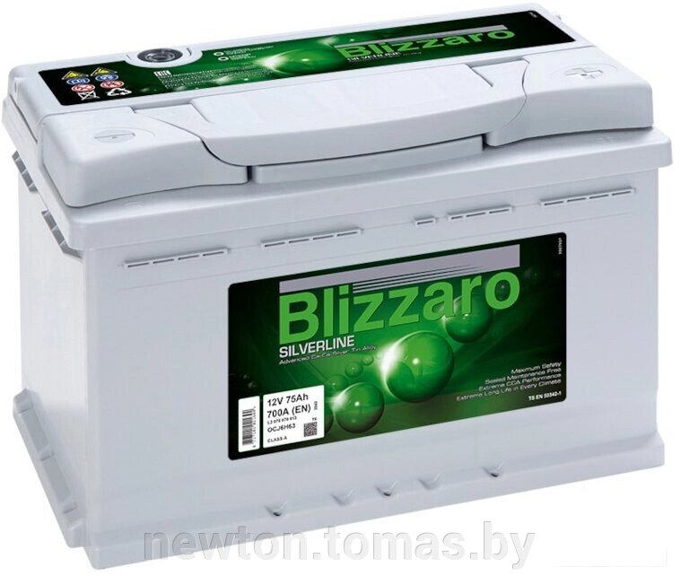 Автомобильный аккумулятор Blizzaro Silverline R+ L3 75Ah 700A от компании Интернет-магазин Newton - фото 1