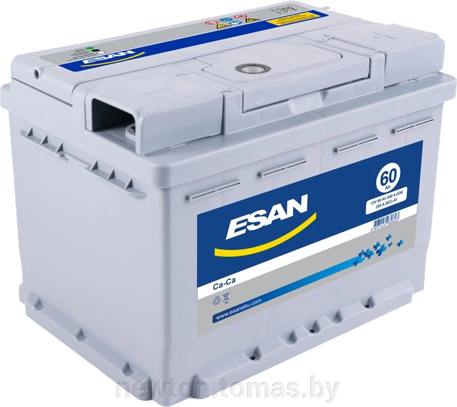 Автомобильный аккумулятор ESAN 60 R+ 60 А·ч от компании Интернет-магазин Newton - фото 1