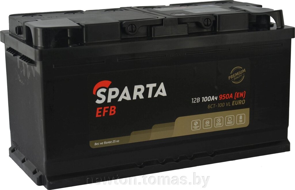 Автомобильный аккумулятор Sparta EFB 6CT-100 VL Euro 100 А·ч от компании Интернет-магазин Newton - фото 1