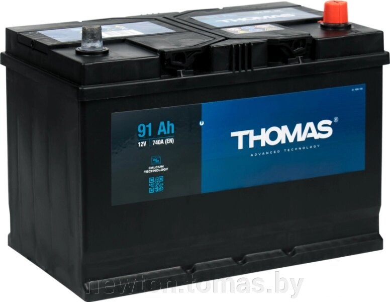 Автомобильный аккумулятор Thomas Japan R 91 А·ч от компании Интернет-магазин Newton - фото 1