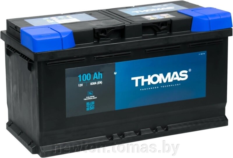 Автомобильный аккумулятор Thomas R 100 А·ч от компании Интернет-магазин Newton - фото 1