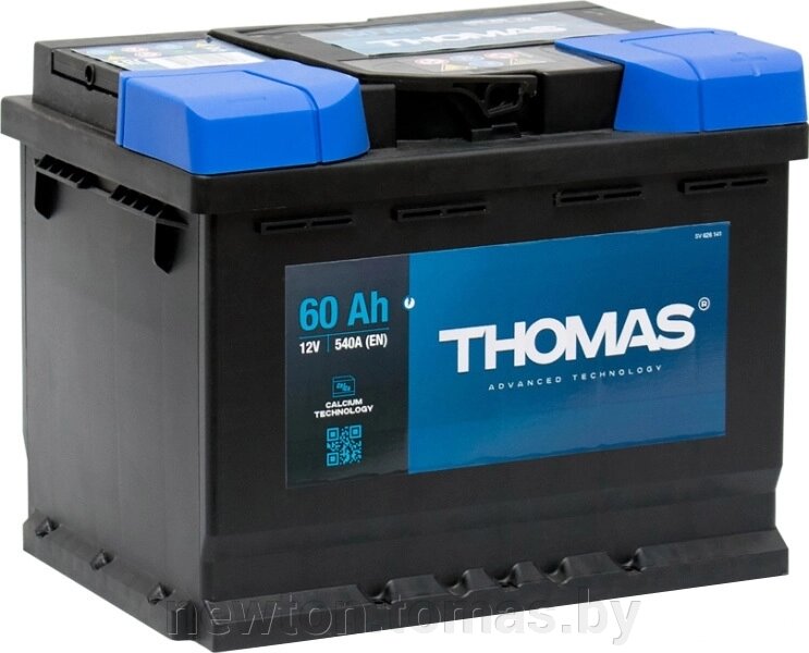 Автомобильный аккумулятор Thomas R 60 А·ч от компании Интернет-магазин Newton - фото 1