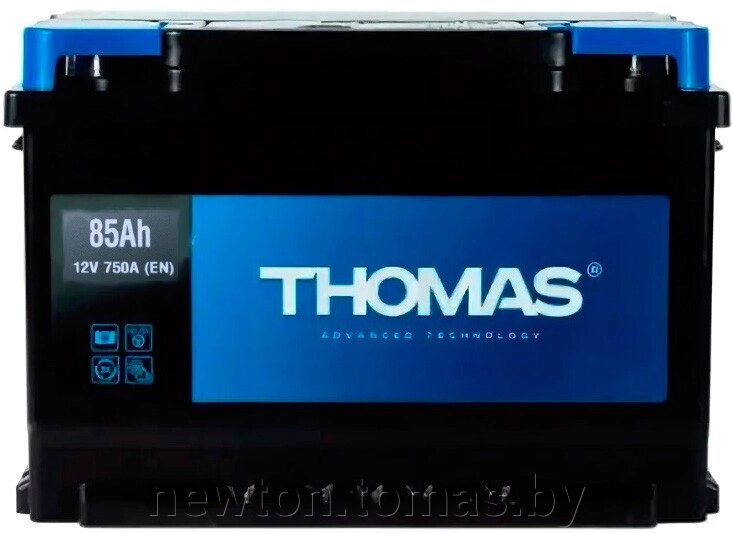 Автомобильный аккумулятор Thomas R+ 85 А·ч от компании Интернет-магазин Newton - фото 1