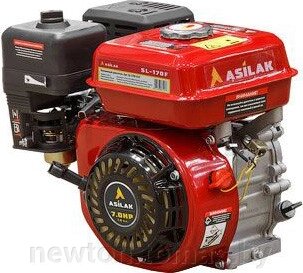 Бензиновый двигатель Asilak SL-170F-D19 от компании Интернет-магазин Newton - фото 1