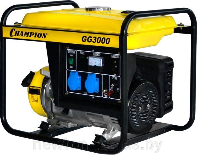 Бензиновый генератор  Champion GG3000 от компании Интернет-магазин Newton - фото 1