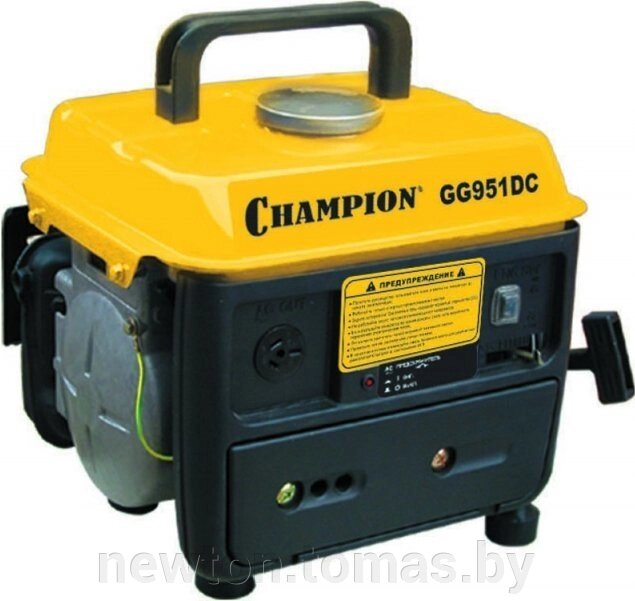 Бензиновый генератор Champion GG951DC от компании Интернет-магазин Newton - фото 1