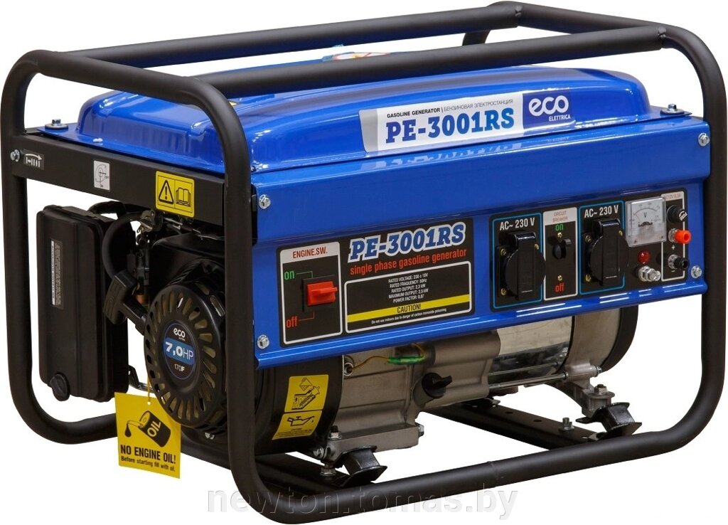 Бензиновый генератор ECO PE-3001RS от компании Интернет-магазин Newton - фото 1