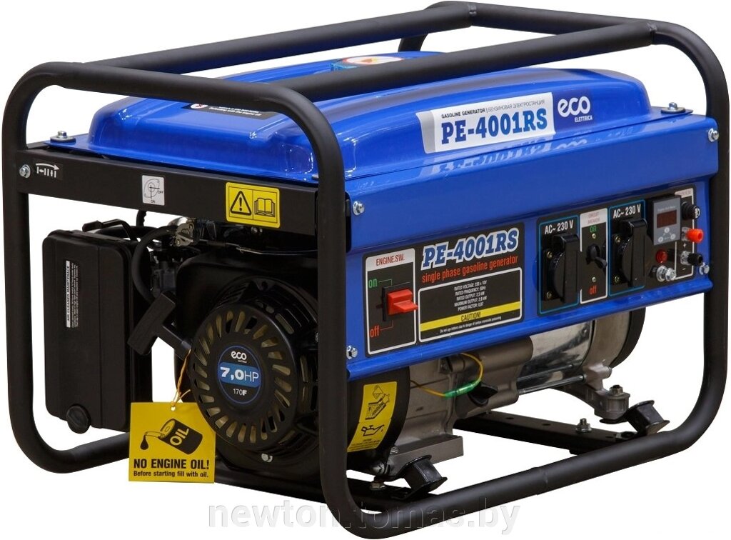 Бензиновый генератор ECO PE-4001RS от компании Интернет-магазин Newton - фото 1