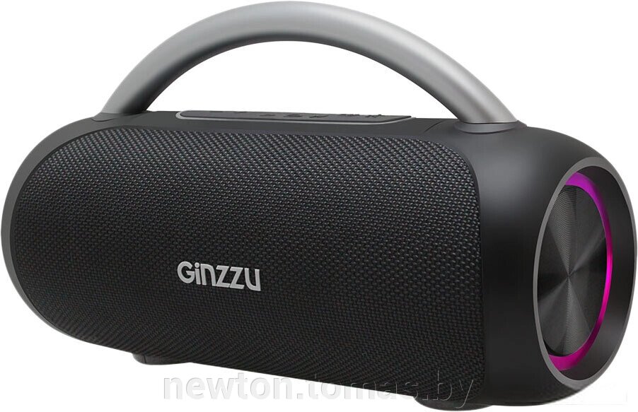 Беспроводная колонка Ginzzu GM-909B от компании Интернет-магазин Newton - фото 1