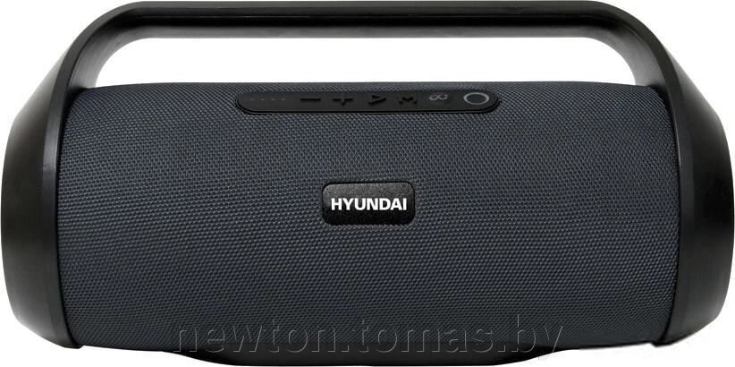 Беспроводная колонка Hyundai H-PAC420 от компании Интернет-магазин Newton - фото 1