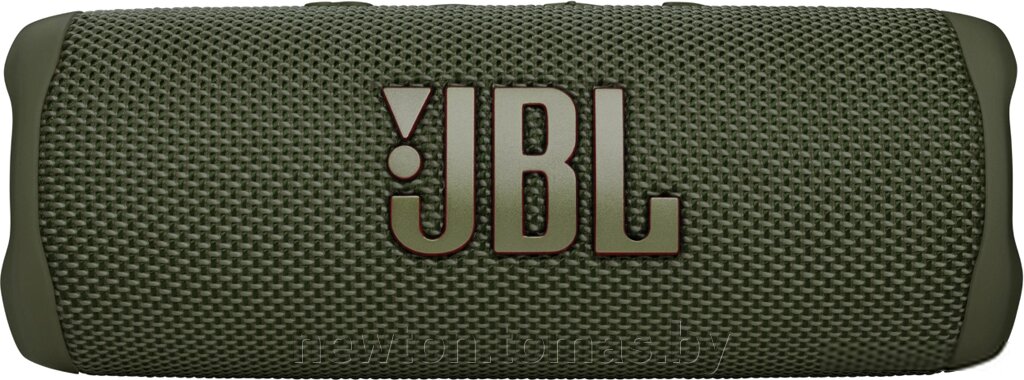 Беспроводная колонка JBL Flip 6 зеленый от компании Интернет-магазин Newton - фото 1