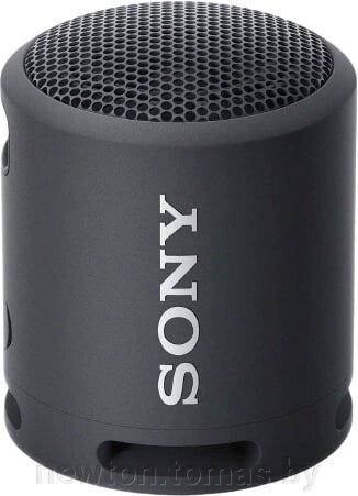 Беспроводная колонка Sony SRS-XB13 черный от компании Интернет-магазин Newton - фото 1