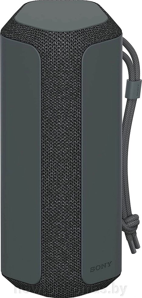 Беспроводная колонка Sony SRS-XE200 черный от компании Интернет-магазин Newton - фото 1