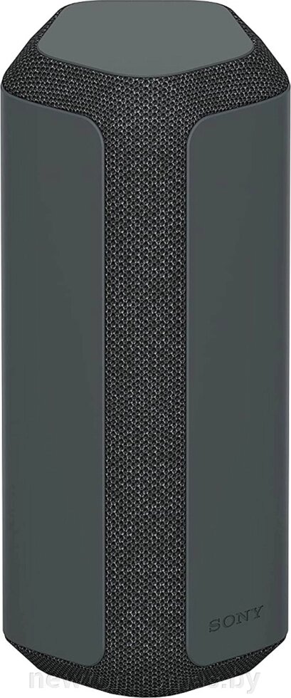 Беспроводная колонка Sony SRS-XE300 черный от компании Интернет-магазин Newton - фото 1