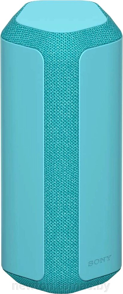 Беспроводная колонка Sony SRS-XE300 голубой от компании Интернет-магазин Newton - фото 1