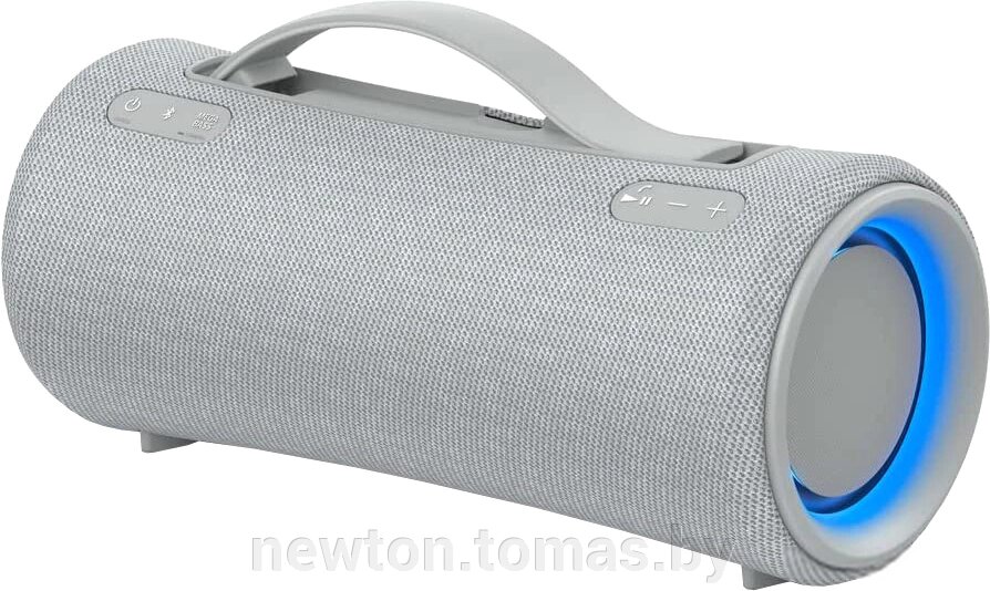 Беспроводная колонка Sony SRS-XG300 серый от компании Интернет-магазин Newton - фото 1