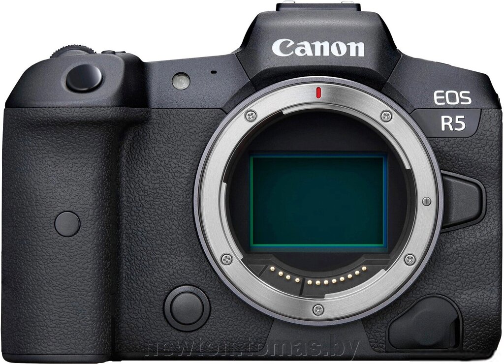 Беззеркальный фотоаппарат Canon EOS R5 Body от компании Интернет-магазин Newton - фото 1