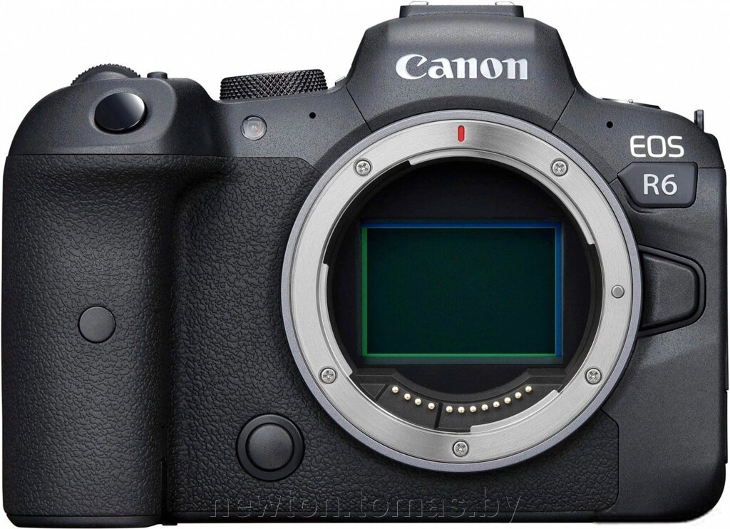 Беззеркальный фотоаппарат Canon EOS R6 Body от компании Интернет-магазин Newton - фото 1