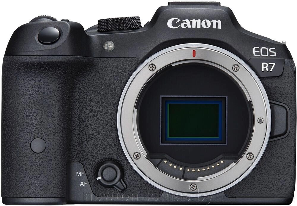 Беззеркальный фотоаппарат Canon EOS R7 Body от компании Интернет-магазин Newton - фото 1