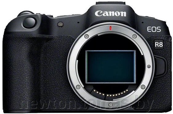 Беззеркальный фотоаппарат Canon EOS R8 Body от компании Интернет-магазин Newton - фото 1