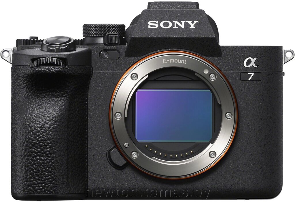 Беззеркальный фотоаппарат Sony Alpha a7 IV Body от компании Интернет-магазин Newton - фото 1
