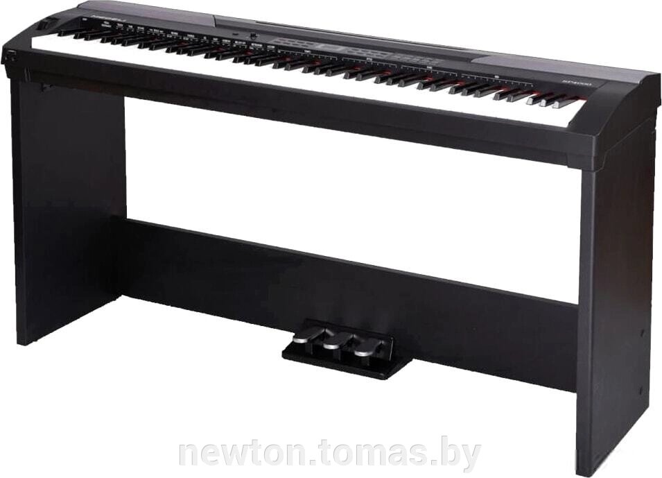 Цифровое пианино Medeli SP4000 от компании Интернет-магазин Newton - фото 1