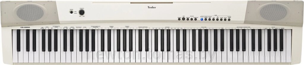 Цифровое пианино Tesler KB-8850 белый от компании Интернет-магазин Newton - фото 1