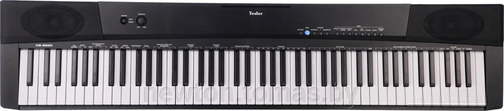 Цифровое пианино Tesler KB-8850 черный от компании Интернет-магазин Newton - фото 1
