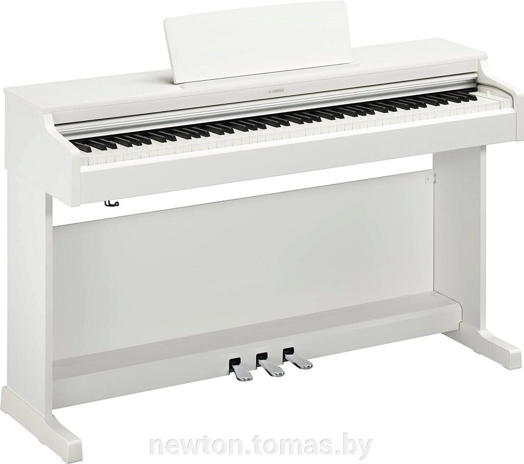 Цифровое пианино Yamaha Arius YDP-165 белый от компании Интернет-магазин Newton - фото 1
