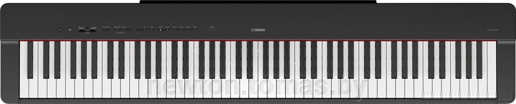 Цифровое пианино Yamaha P-225 черный от компании Интернет-магазин Newton - фото 1