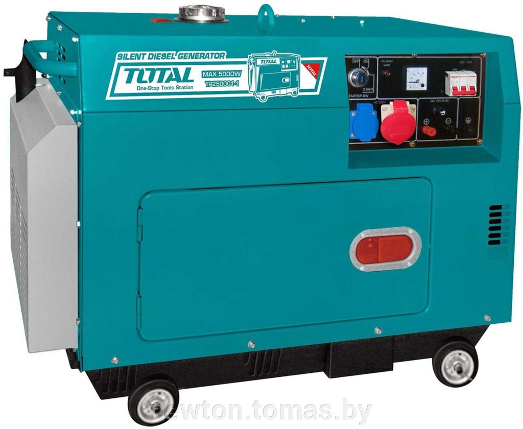 Дизельный генератор Total TP250003-1 от компании Интернет-магазин Newton - фото 1