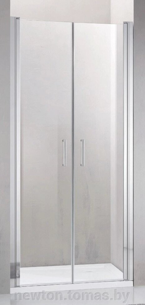 Душевая дверь Adema Nap Duo-90 прозрачное стекло от компании Интернет-магазин Newton - фото 1