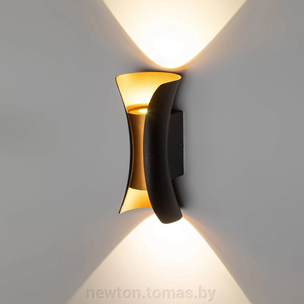 Фасадный светильник ЭРА WL42 BK+GD светодиодная 10Вт 3500К IP54 Б0054420 черный/золото от компании Интернет-магазин Newton - фото 1