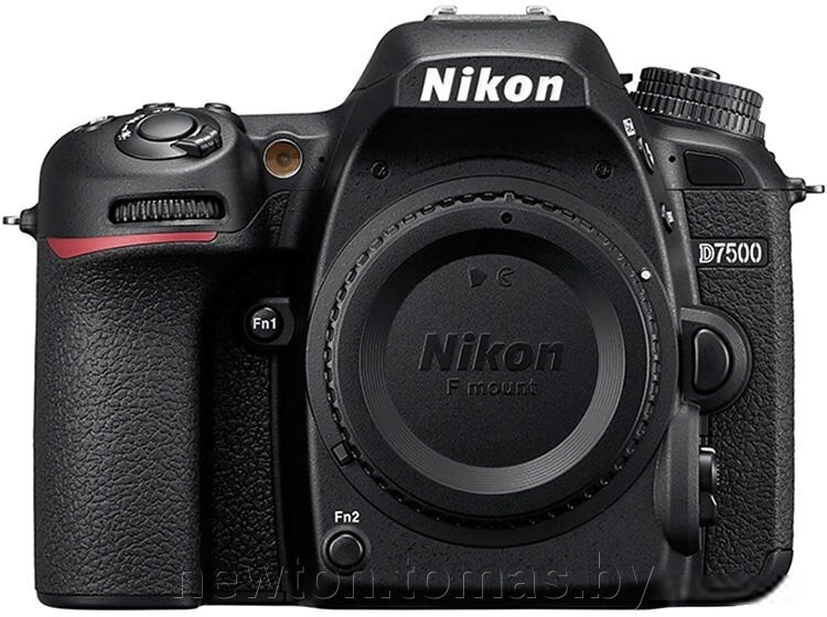 Фотоаппарат Nikon D7500 Body от компании Интернет-магазин Newton - фото 1