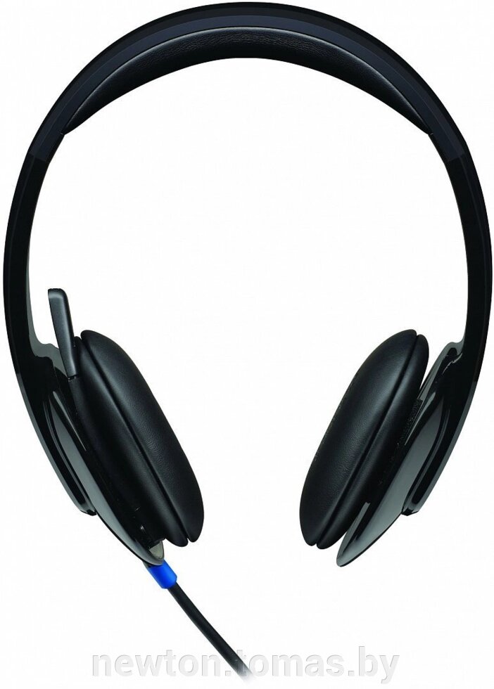 Гарнитура  Logitech USB Headset H540 от компании Интернет-магазин Newton - фото 1