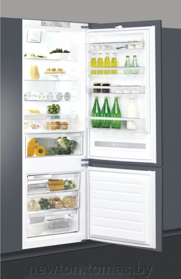 Холодильник Whirlpool SP40 801 EU от компании Интернет-магазин Newton - фото 1