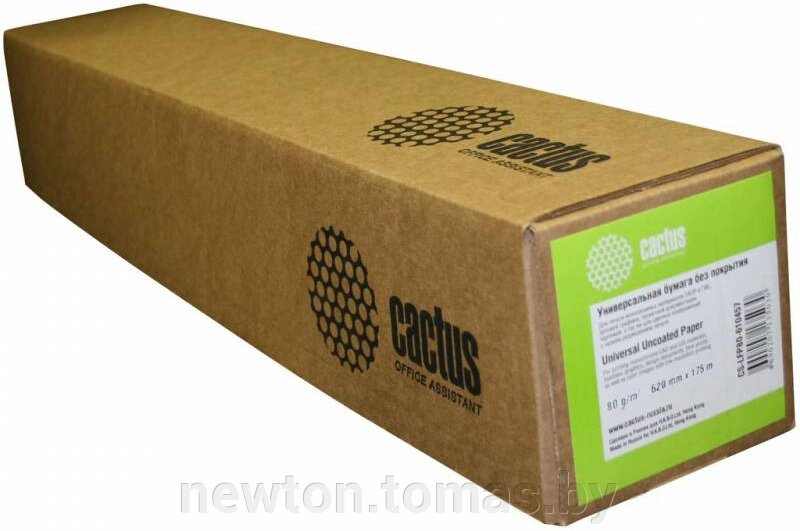 Инженерная бумага CACTUS инженерная бумага, A0+ 80 г/м2 [CS-LFP80-914175] от компании Интернет-магазин Newton - фото 1