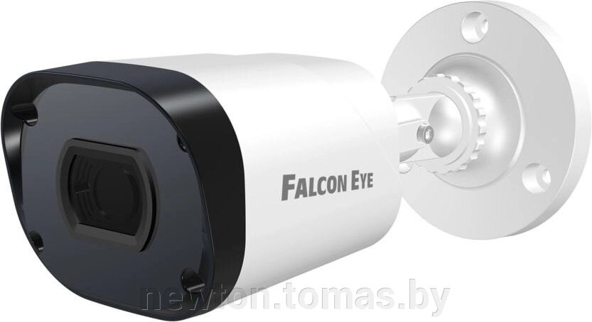 IP-камера Falcon Eye FE-IPC-BV2-50pa от компании Интернет-магазин Newton - фото 1