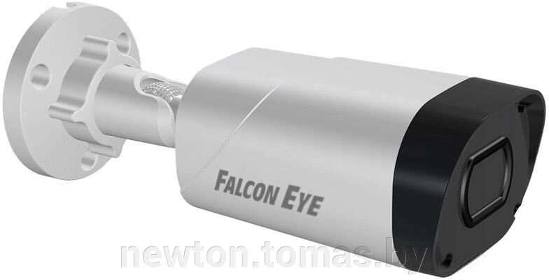 IP-камера Falcon Eye FE-IPC-BV5-50pa от компании Интернет-магазин Newton - фото 1